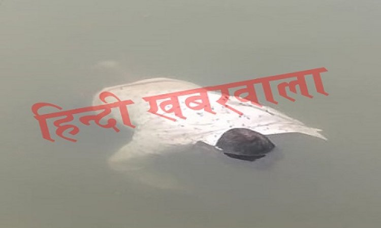 BIG BREAKING: नदी में तैरती दिखी व्यक्ति की लाश, तो गांव में सनसनी, फिर पुलिस पहुंची मौके पर, पहचान के बाद सभी के उड़े होश, मामला- रामपुरा थाना क्षेत्र का, पढ़े खबर