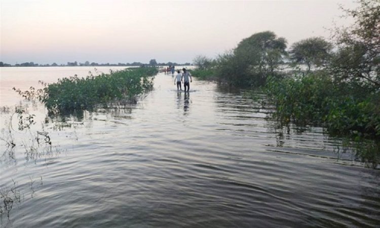 OMG ! घर लौटती महिलाएं चंबल नदी में उतरी, रास्ता भटकी, तो समां गई मौत के मुहं में, 5 शव मिलते ही मचा हाहाकार, 2 बच्चों की ऐसे बच गई जान, मामला- शामगढ़ क्षेत्र का, पढ़े ये खबर