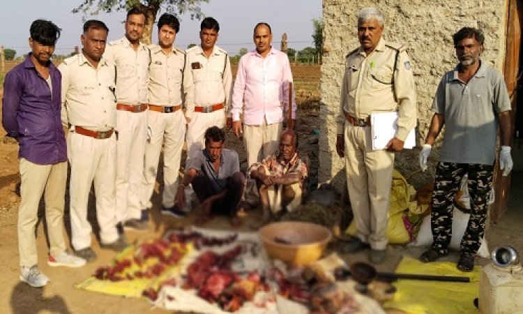 BIG NEWS: मांडा के जंगलों में घुमते शिकारी, जंगली सुअर को बनाया निशाना, सूचना पर वन विभाग की दबिश, मौके से तीन लोग गिरफ्तार, पढ़े ये खबर