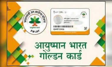 NEWS: आयुष्मान कार्ड बनवाने में नपा को सहयोग करें हितग्राही, आधार से मोबाईल नंबर भी कराएं अपडेट, पढ़े खबर