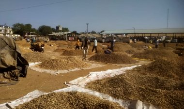 BIG BREAKING: नीमच मंडी में इस बात पर विवाद, व्यापारी आपस में भिड़े, जमकर चले लात-घुसे, मामला पहुंचा थाने, क्या मुंगफली मंडी हो गई बंद...! पढ़े खबर