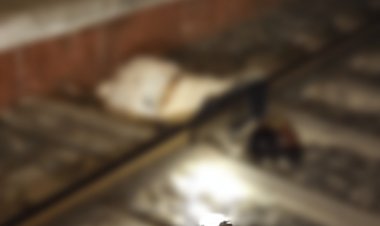 BIG BREAKING : काली अंधेरी रात, और पिपलियामंडी रेलवे स्टेशन, अचानक हुआ ये हादसा, तो मची अफरा-तफरी, मौके पर पहुंची RPF पुलिस, खून से सनी लाश को देखा, उड़ गये होश, क्या है मामला...! पढ़े ये खबर 