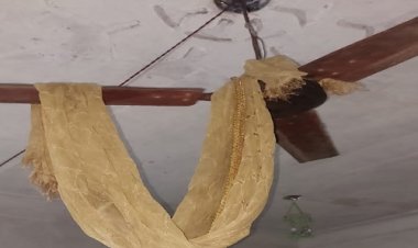 BIG BREAKING: शाहरुख बाहर गया, तो सिमरन ने बंद कमरे में उठाया ये बड़ा कदम, अंदर से नहीं आई आवाज, तो तोड़े खिड़की-दरवाजे, फिर मची चीख-पुकार, घटना नारायणगढ़ थाना क्षेत्र की, क्या है पूरा मामला...! पढ़े ये खबर