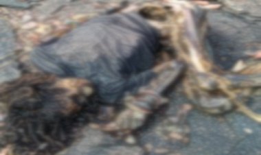 BIG NEWS: रामपुरा थाना क्षेत्र में मिली लाश पर बड़ा खुलासा, महिला का शव कंकाल में तब्दील, हालत देख पुलिस भी रह गई हैरान, क्या बोले T.I आनंद सिंह...! पढ़े रुपेश सारू की ये खबर