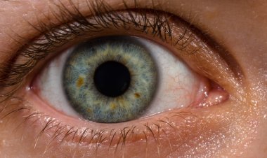 NEWS: रामपुरा नगर में इस विशाल शिविर का आयोजन रविवार को, गोमाबाई नैत्रालय द्वारा दी जाएगी सेवाएं, मरीजों को मिलेंगे विभिन्न लाभ, पढ़े खबर