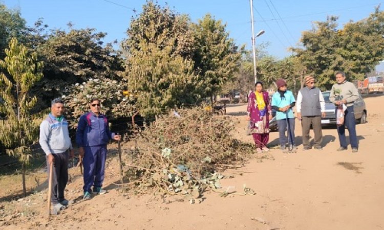 NEWS: आम आदमी पार्टी के कार्यकर्ता पहुंचे संजीवनी उद्यान के बाहर, स्वच्छता अभियान चलाया, वार्ड- 30 में तिरंगा शाखा भी संपन्न, पढ़े खबर