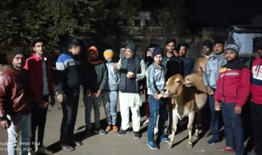 NEWS: सर्दी का प्रकोप, विहिप-बजरंग दल ने ली गौमाता की सुध, रामपुरा में चलाया ये अभियान, अब नगरभर में हो रही प्रशंसा, पढ़े रुपेश सारू की खबर