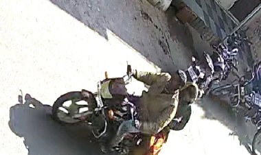 NEWS: मोबाईल चोर दंपत्ति कैमरे में कैद, घटना नीमच की दाना गली की, क्या जल्द होगी गिरफ़्तारी...! पढ़े खबर  