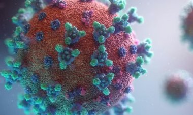 CORONA BREAKING : कोटा में कोरोना से दो की मौत, स्वास्थ्य विभाग में हड़कंप, तो अलर्ट मोड पर जिला प्रशासन, दिए ये निर्देश, पढ़े खबर