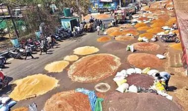 NEWS: कृषि मंडी में बंपर आवक, प्रवेश द्वार किया बंद, लगी वाहनों की लम्बी कतारें, हो रही एम एस पी पर बिक्री, पढ़े खबर