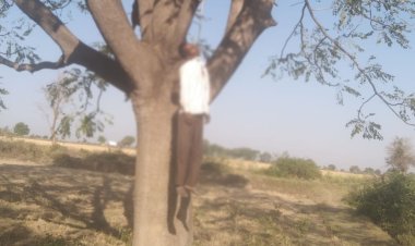 OMG ! खेतों में पेड़ पर लटका मिला राधेश्याम का शव, परिवार में मातम, क्या कर ली आत्महत्या, या मामला कुछ और...! सरवानिया चौकी पुलिस की जांच शुरू, पढ़े खबर