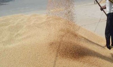 NEWS: गेहूं का समर्थन मूल्य 15 केन्द्रों पर होगी खरीद, 48 घंटे में सीधे बैंक खातों में होगा भुगतान, आधार से लिंक होना जरूरी, पढ़े खबर