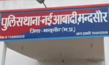 NEWS: पिकअप में मादक पदार्थ की तस्करी, मंदसौर पुलिस की कार्यवाही, डोडाचूरा की बड़ी खैप बरामद, चालक सहित मालिक भी चढ़ा हत्थे, पढ़े ये खबर