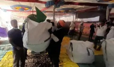 NEWS: पहले डिवीजन के सीपीएस पद्धति का तोल शुरू, 23 गांवों के 78 किसानों के तोले जाएंगे डोडे, पढ़े खबर