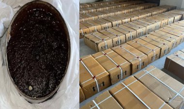 BIG NEWS: CBN को मिली सुचना, तो नीमच जिले के इस गांव में दबिश, फिर बड़ी मात्रा में अफीम-डोडाचूरा की खैप बरामद, अन्य कार्यवाही में टैबलेट-साइकोट्रोपिक ड्रग्स कैप्सूल भी जब्त, पढ़े ये खबर