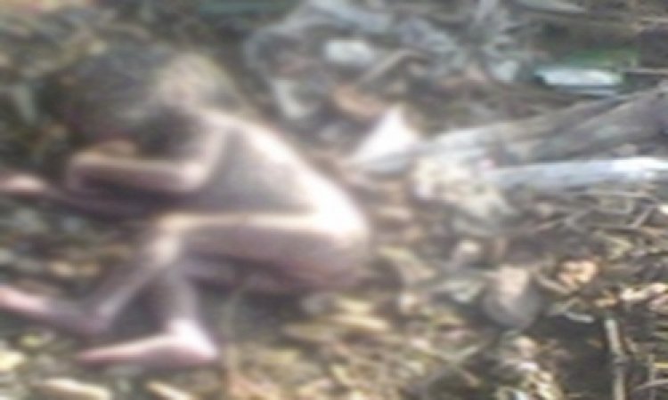 OMG ! गांव में मृत मिला 7 माह का मासूम, ग्रामीणों का दिल पसीजा, तुरत रतनगढ़ पुलिस को दी सुचना, अब PM रिपोर्ट में होगा खुलासा...! पढ़े ये खबर