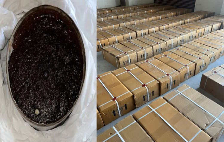 BIG NEWS: CBN को मिली सुचना, तो नीमच जिले के इस गांव में दबिश, फिर बड़ी मात्रा में अफीम-डोडाचूरा की खैप बरामद, अन्य कार्यवाही में टैबलेट-साइकोट्रोपिक ड्रग्स कैप्सूल भी जब्त, पढ़े ये खबर