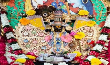 NEWS: नीमच में सजेगा सावलियां सेठ का आलौकिक दरबार, भव्य संकीर्तन का आयोजन आज, मनासा की कनिका ग्रोवर सहित ये भजन गायन बांधेंगे समां, पढ़े खबर