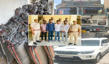 BIG NEWS : पायलेटिंग करती स्कॉर्पियों, मादक पदार्थ से भरी ट्रक, कार्यवाही में निम्बाहेड़ा पुलिस ने पकड़ा, क्या मंदसौर क्षेत्र से लोड हुआ डोडाचूरा, और प्रकाश बालगुड़ा का है माल...! अब तस्कर उगलेंगे राज, राजस्थान पुलिस की MP में दस्तक की आहट, पढ़े ये खबर