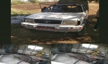 OMG ! ये क्या हो रामलाल के खेत में, की लग गई भीड़, फिर लोगों ने घुमाया फोन, तो कई अधिकारी भी मौके पर, मामला- ग्राम उगरान का, पढ़े ये खबर