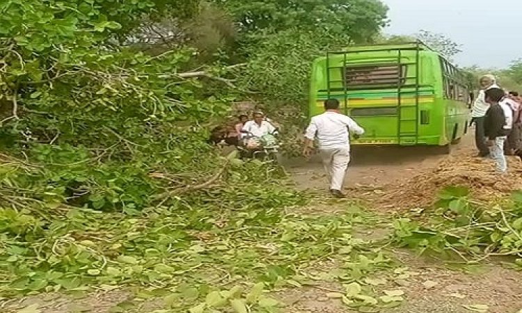 OMG ! जिस चबूतरे पर बैठते लोग, आज वहीं विशालकाय पेड़ हुआ धराशाही, क्या आज भी था कोई मौजूद, मामला- मनासा क्षेत्र का, पढ़े ये खबर