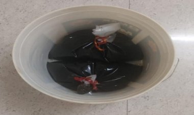 BIG NEWS: इस गांव के मकान में काला सोना, तो वन क्षेत्र में इसकी स्मगलिंग, जब CBN को मिली सुचना, तो दोनों ठिकानों पर दबिश, मौके से ये सब बरामद, पर आरोपी...! पढ़े ये खबर