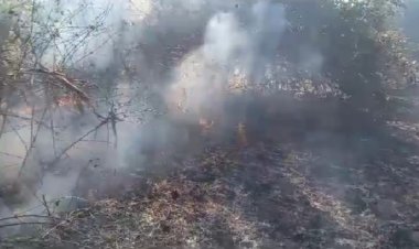 NEWS: हरवार के जंगलों लगी भीषण आग, दमकल की मदद से पाया काबू...! ये सब हो गया खाक, पढ़े खबर