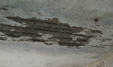 NEWS: उगरान गांव, और यहां लोगों का ठहराव, छत हो गई जर्जर, अब इसने छोड़ा सरियों का साथ, कौन दे रहा बड़े हादसे को निमंत्रण, पढ़े खबर