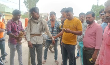 OMG ! मंडी में आये दो युवक, इस वारदात को अंजाम देने की कोशिश, लेकिन किस्मत निकली खराब, लोगों ने पकड़ा, और बांधने के बाद..! फिर मनासा पुलिस भी मौके पर, पढ़े ये खबर