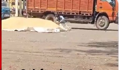 BIG BREAKING: नीमच मंडी में उपज चोरी का वीडियों वायरल, युवक में भरा कट्टा, क्या गुलाब गैंग फिर हो गई सक्रिय, देखें वायरल सच