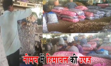 WOW ! हिमाचल के किसानों की नीमच मंडी में दस्तक, जब साथ लाएं ये उपज, तो व्यापारी भी हुए गदगद, भाव सुन अन्नदाताओं के भी खिले चेहरे, आवक जानकर आपके भी उड़ जाएंगे होश, पढ़े महेंद्र अहीर की ये खबर