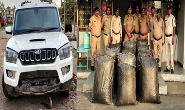 BIG NEWS: कानका फंटे पर नाकाबंदी, और नीमच से आती स्कॉर्पियों, फिर चला चोर-पुलिस का खेल, पर यहां तस्कर ने मानी हार, तलाशी में नशे की बड़ी खैप बरामद, और आरोपी...! पढ़े ये खबर