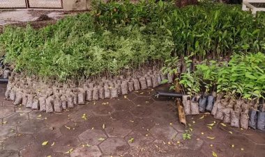 NEWS: सालों पुरानी संस्था, और यह पहल लगातार जारी, इस बार भी अनूठा प्रयास, मनासा नगर में होगा निःशुल्क पौधों का वितरण, पढ़े खबर