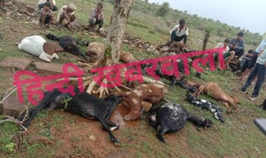 BIG BREAKING: सिंगोली क्षेत्र में मौत का तांडव, इस हादसे के बाद लगा लाशों का ढेर, मंजर देख घीसालाल हुआ बेहोश, फिर ग्रामीण पहुंचे मौके पर, कैसे हुआ ये बड़ा घटनाक्रम, पढ़े आजाद नीलगर की खबर