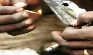 BREAKING NEWS: शहर कोतवाली व दलोदा पुलिस की स्मेकचियो पर बड़ी कार्यवाही, नशे की सामग्रीयो सहित 7 नशेड़ियों को किया गिरफ्तार,पढ़े खबर