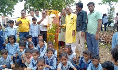 NEWS: जूनापानी विद्यालय में वृक्षारोपण कार्यक्रम संपन्न, बच्चों के साथ इन्होंने रौंपे पौधे, पढ़े खबर