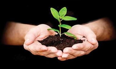 NEWS: शासकीय कन्या महाविद्यालय, NSSG ग्रुप एवं खण्डेलवाल वैश्य समाज का संयुक्त तत्वावधान, ग्रीन बेल्ट पर होगा पौधरोपण, इनके मुख्य आतिथ्य में होगा कार्यक्रम, पढ़े ये खबर