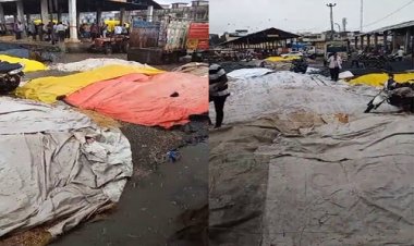 BIG NEWS: नीमच सहित अंचल में तेज बारिश, मंडी में उपज भीगी, किसानों के चेहरे पर छाई मायूसी, नजर आई चिंता की लकीरे, क्या बोले अन्नदाता...! पढ़े ये खबर