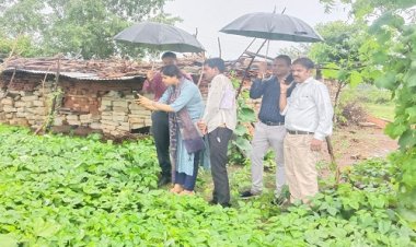 WOW ! डिजिटल क्राप सर्वेक्षण, पायलट प्रोजेक्ट के रूप में नीमच सहित इस जिले का चयन, पहली बार युवा करेंगे ये काम, अपर कलेक्टर ने किया निरिक्षण, पढ़े ये खबर