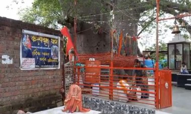 NEWS: सावन मास में कल्पवृक्ष पर पहुंच रहे हैं सैकड़ों श्रद्धालु रोज, विधि-विधान से की जा रही पूजा-अर्चना, क्या है इतिहास, पढ़े कैलाश विश्वकर्मा की खबर