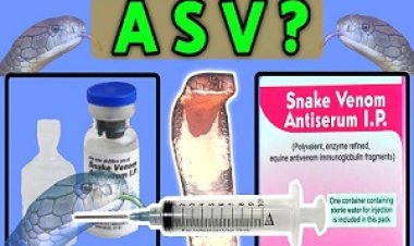 "एंटी-स्नेक वेनम (एएसवी)" को लेकर मुख्य चिकित्सा एवं स्वास्थ्य अधिकारी डा० बघेल ने जिले की आम जनता को दी ये महत्वपूर्ण सूचना,पढ़े खबर