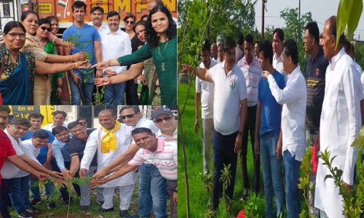 NEWS: ग्रीन बेल्ट को दो वर्ष पूर्ण, जनप्रतिनिधियों-अधिकारियों ने किया पौधारोपण, जिला कलेक्टर ने कहां- हरियाली में NSSG का सराहनीय कार्य, तो एसपी ने बोले- शहर को हराभरा बनाने में प्रेरणादायी कदम, पढ़े खबर