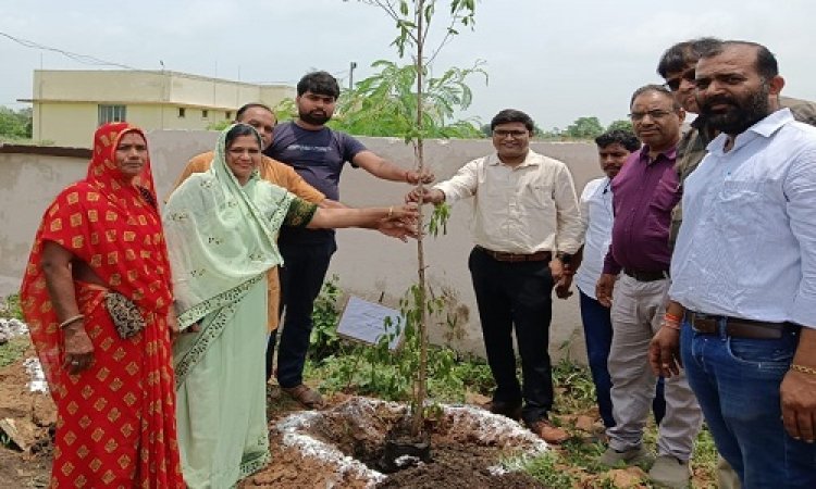 NEWS: चीताखेड़ा में नवीन पंचायत भवन, और बगीचे को सुंदर बनाने का लक्ष्य, पौधारोपण कर इन्होंने दिया संदेश, जब स्वच्छता की आई बात, तो CEO गुरुप्रसाद ने दिए ये निर्देश, पढ़े आजाद मंसूरी की खबर