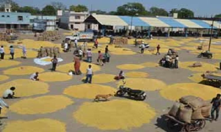 NEWS: आज से नीमच मंडी बंद, गेट पर लगे ताले, अब इस तारीख से शुरू होगी नीलामी, किसानों व व्यापारियों के लिए ये जानकारी है अहम, पढ़े ये खबर