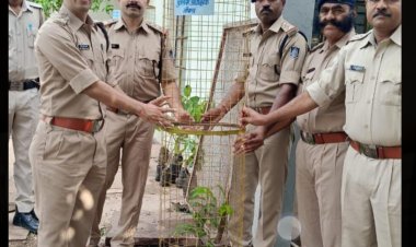 BIG NEWS: विशेष सशस्त्र पुलिस बल ने एसपी तोलानी की अध्यक्षता में किया पौधारोपण, जब दिया ये संदेश, तो पुलिस कप्तान ने भी कुछ यूं किया प्रोत्साहित, पढ़े ये खबर 