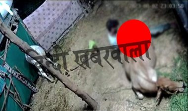 BIG REPORT : ये कैसा कलयुग...! हवस मिटाने के लिए गौमाता के साथ किया खोटा काम, आरोपी युवक पुलिस की गिरफ्त में, इन धाराओं में प्रकरण दर्ज, घटना का CCTV भी वायरल, घटना मंदसौर जिले की, पढ़े कैलाश शर्मा की ये खबर
