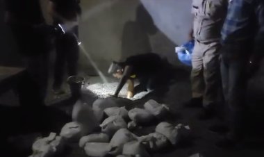 BIG NEWS: नीमच व रतलाम CBN की दो बड़ी कार्यवाहियां, पहली में बाइक सवार से, तो दुसरी में ढाबे से मादक पदार्थ जप्त, जब खोदी जमीन, तो बाहर आया दफन राज, क्या है पूरा मामला, और कुल कितने आरोपी गिरफ्तार, पढ़े ये खबर