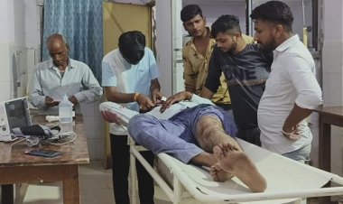 BIG NEWS: नीमच-मनासा रोड़ पर जब हुआ ये हादसा, तो देखने वालों के खड़े हो गए रौंगटे, घायल लालू को पहुंचाया जिला अस्पताल, पढ़े मनीष जोलान्या की खबर