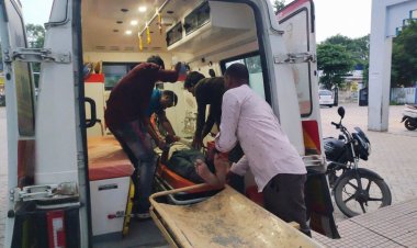 NEWS: मनासा-कंजार्डा रोड़ हादसा, बाइक सवार टकराया भैंस से, तो हो गई हालत गंभीर, फिर जिला अस्पताल किया रैफर, पढ़े मनीष जोलान्या की खबर