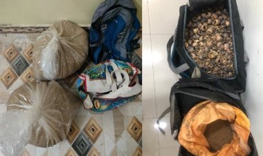 BIG NEWS: नीमच, मंदसौर और उज्जैन क्षेत्र में CBN की ताबड़तोड़ कार्यवाहियां, यहां बस और यहां बाइक सवार से मादक पदार्थ जप्त, दो आरोपी भी गिरफ्तार, मौके से कौन हुआ फरार...! पढ़े ये खबर